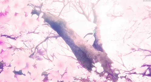 tumblr cherryblossoms gif tumblr cherryblossoms falling discover share gifs falling cherry blossoms gif