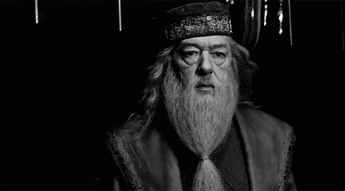 aurelius dumbledore in harry potter