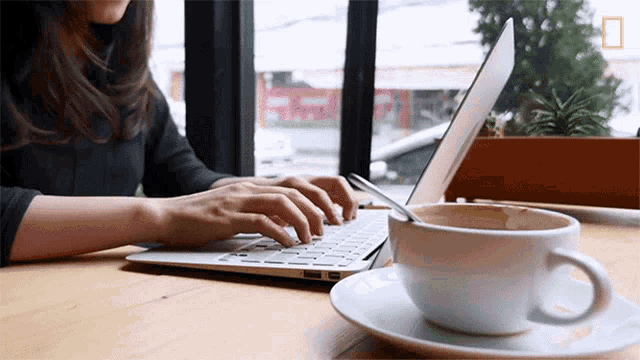 Working National Geographic GIF - Working NationalGeographic Typing GIFs
