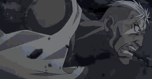 Image result for fma scar gif
