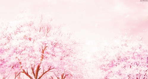 Sakura Pink GIF - Sakura Pink Anime GIFs