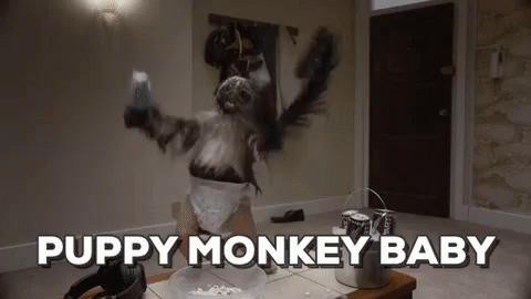 Puppy Monkey Baby Gifs Tenor Puppy Monkey Baby Gifs Tenor