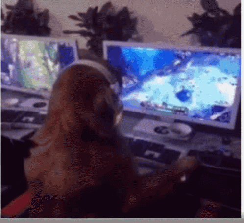 gamer dog gif gamer dog golden discover share gifs