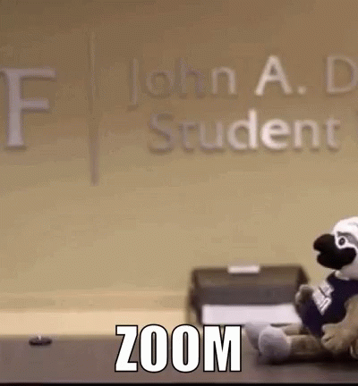 funny zoom backgrounds gifs