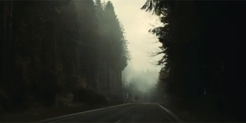 Road Driving GIF - Road Driving Drive - Discover & Share GIFs