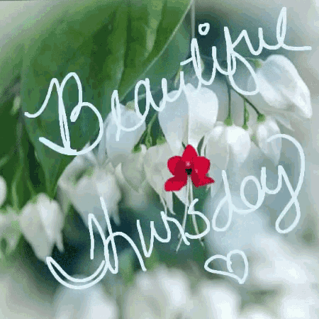 Image result for thursday greetings