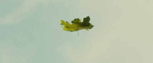 leaf gifs tenor