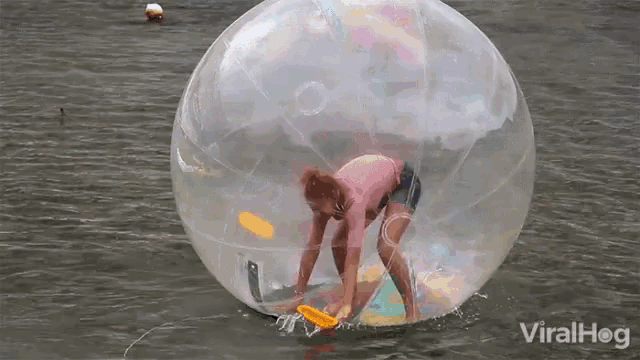 Inflatable Human Hamster Ball Funny GIF - InflatableHumanHamsterBall Funny Hilarious GIFs