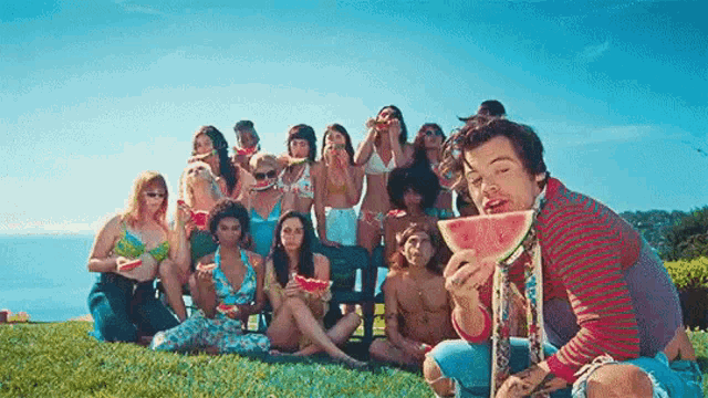 Harry Styles Watermelon Sugar