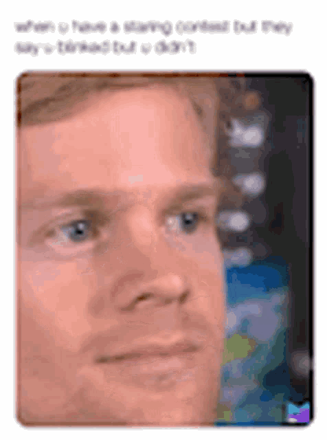 Funny Just Why GIF Funny JustWhy OhReally Discover Share GIFs Funny Just Why GIF Funny JustWhy OhReally Discover Share GIFs