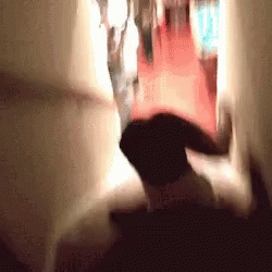 Fall Stairs GIF - Fall Stairs GIFs