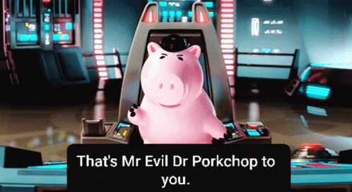 dr porkchop toy
