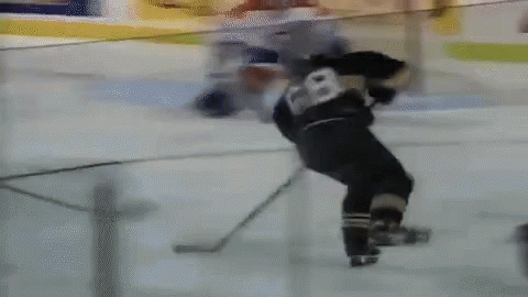 Jaromir Jagr