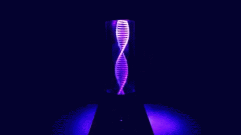 Lava Lamp GIFs Lava Lamp GIFs