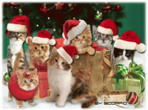 merry christmas cats gif