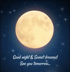 Good Night Sweet Dreams GIF - GoodNight SweetDreams SeeYouTomorrow ...
