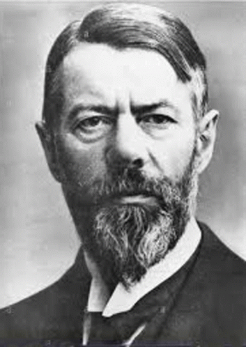 Max Weber diversas faces 
