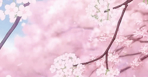 Anime Cherry Blossom Tree GIFs | Tenor