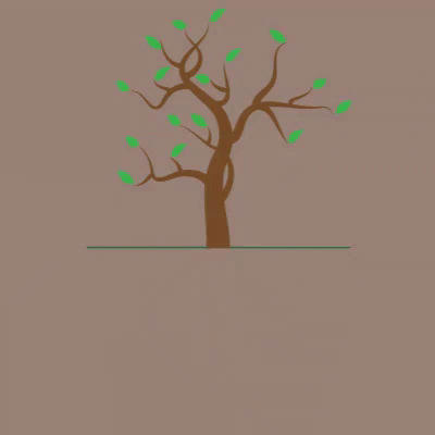 apple tree animated gif