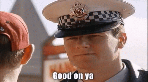 blue heelers good on