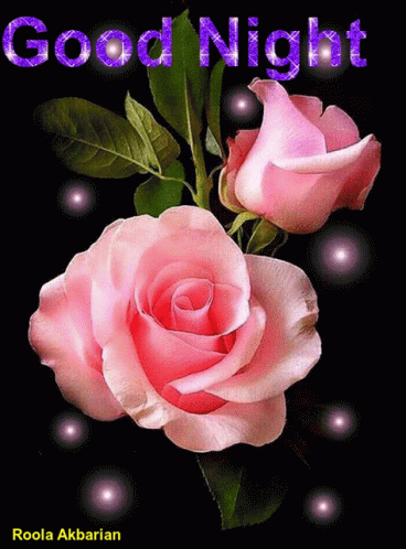 Good Night Pink Rose GIF - GoodNight PinkRose Rose - Discover & Share GIFs