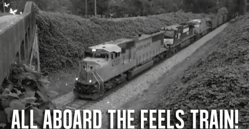 Image result for feels train