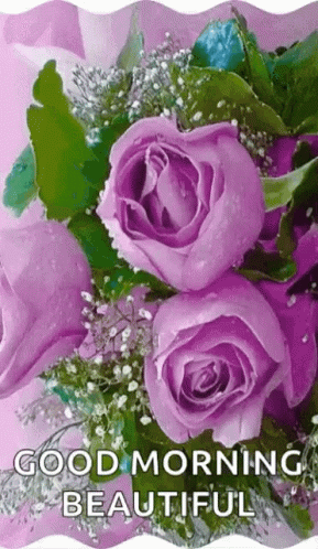 Good Morning Flowers GIF - GoodMorning Flowers Greetings - Discover
