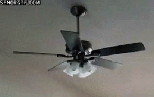 Funny Ceiling Gif Funny Ceiling Fan Discover Share Gifs