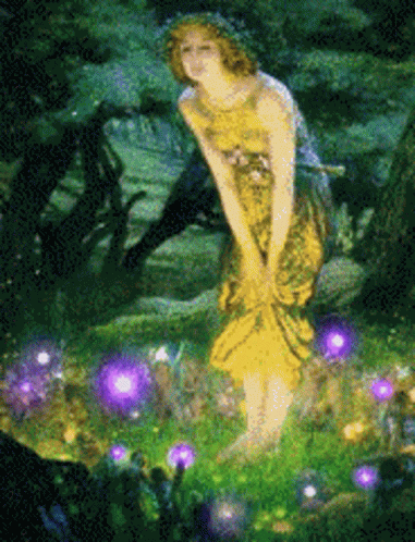 Fairy Forest GIF - Fairy Forest Magische GIF's