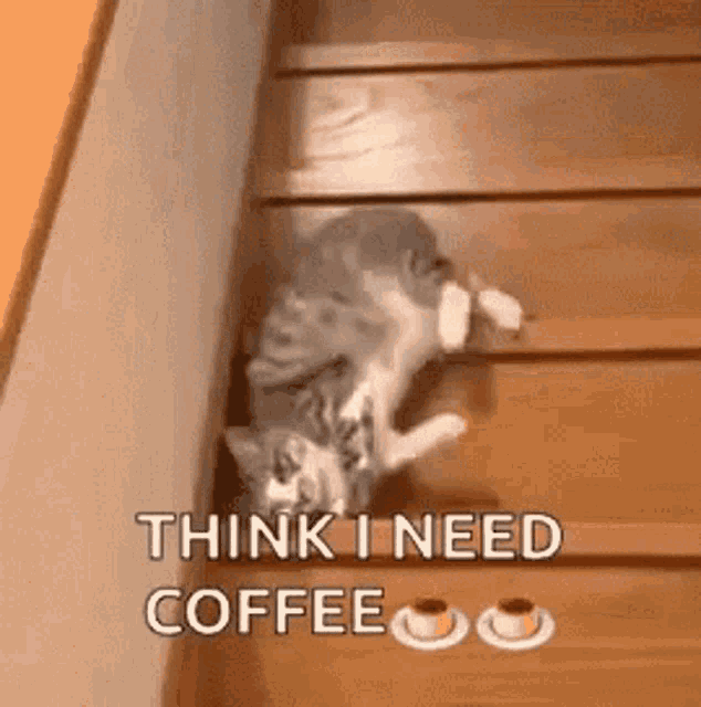 funny whatsapp good morning gif