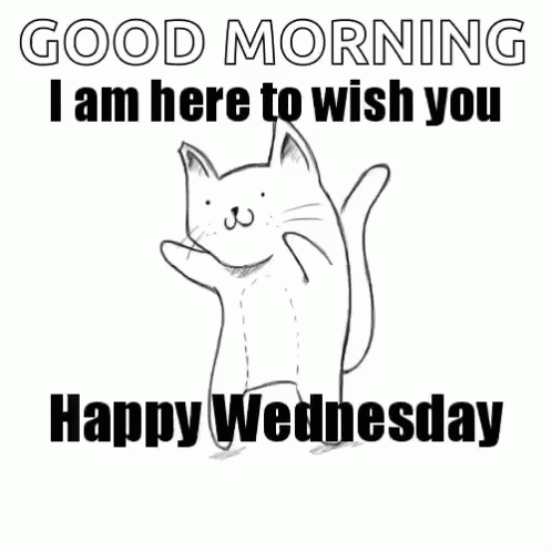 Happy Wednesday Dancing Cat GIF - HappyWednesday DancingCat ...