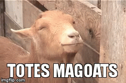 totes gifs tenor