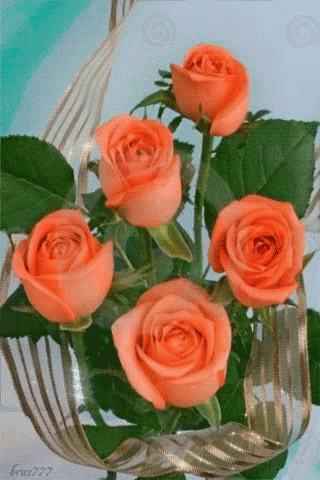 Orange Roses GIF - Orange Roses - Discover & Share GIFs