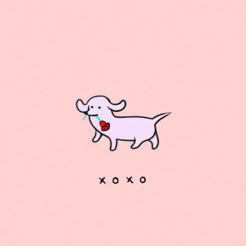 XOXO GIF - Dachshund Dog - Discover & Share GIFs