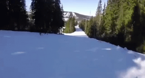 Down Hill GIF - Down Hill Moose - Discover & Share GIFs