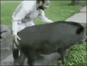 [Linked Image]