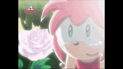 Sonic Hugs Amy Crying