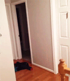 Door Crash GIF - Door Crash Fail GIFs