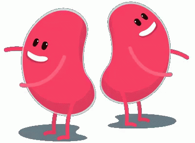 Image result for kidney gif