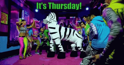 Thursday Party Time GIF - Thursday PartyTime Zebra - Discover & Share GIFs