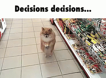 Decisions decisions... (dog walking around shop)