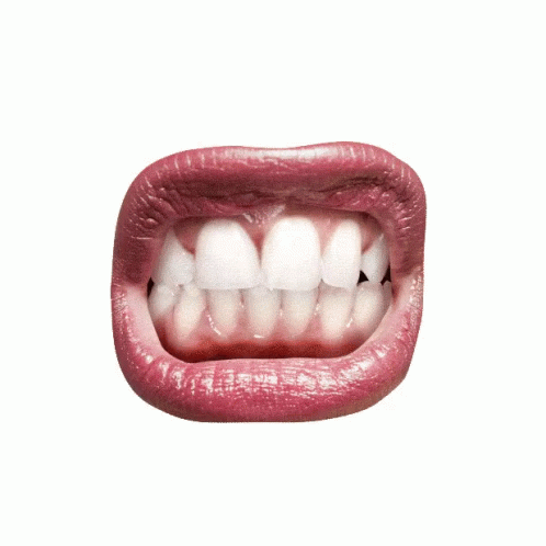Dentes GIFs | Tenor