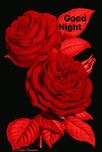 Love Roses GIF - Love Roses GoodNight - Discover & Share GIFs