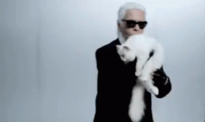Karl Lagerfeld Cat Gif Karllagerfeld Cat Discover Share Gifs