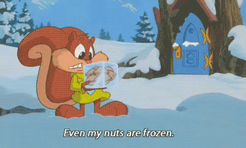 even my nuts are frozen gif nuts frozennuts nutsarefrozen