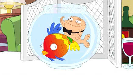 Klaus Having His Way With The Pet Fish Gif Americandad Klaus Fish Discover Share Gifs