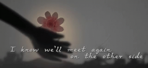 IKnow Well Meet Again On The Other Side GIF - IKnowWellMeetAgain ...