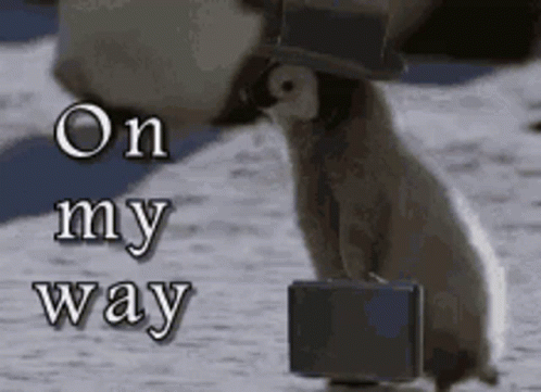 on the way on the way