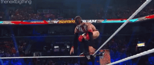 [SummerSlam Kickoff] Match 2 : Randy Orton vs Finn Bálor Tenor