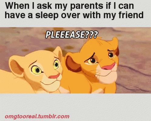 Image result for parents will not allow sleepover gif